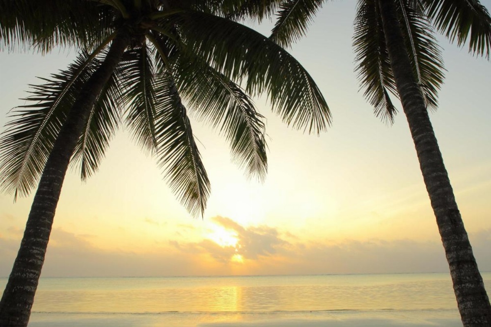Sultan Sands Island Resort Image 46